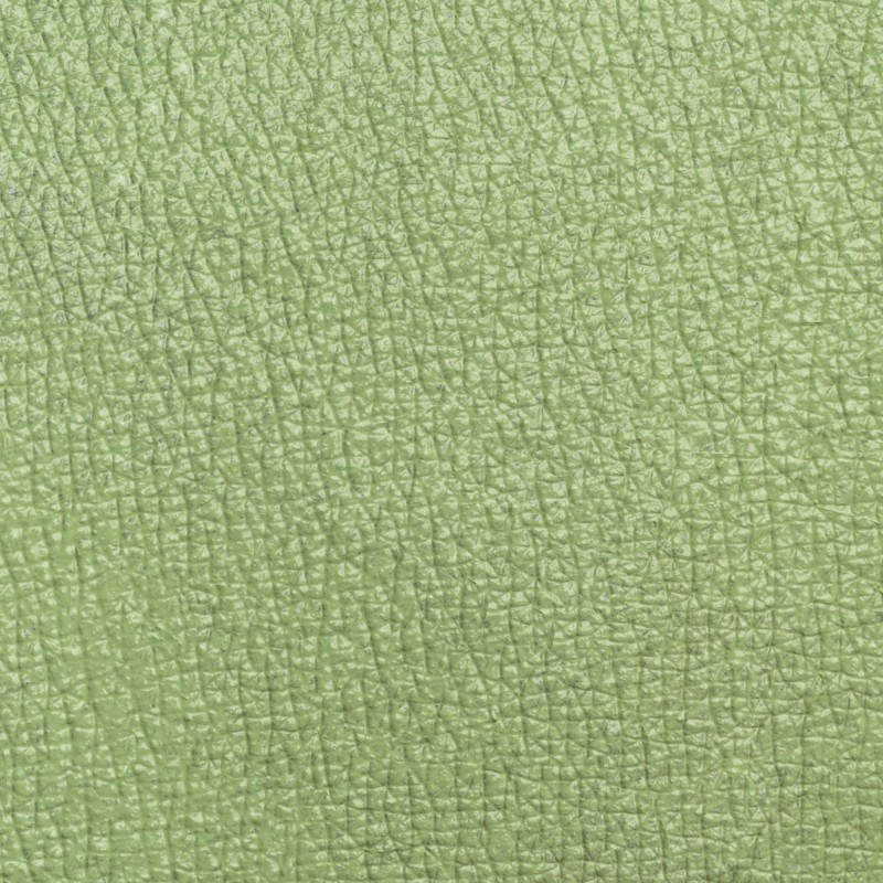 Ristretto Neve Cosmetics Green Tone